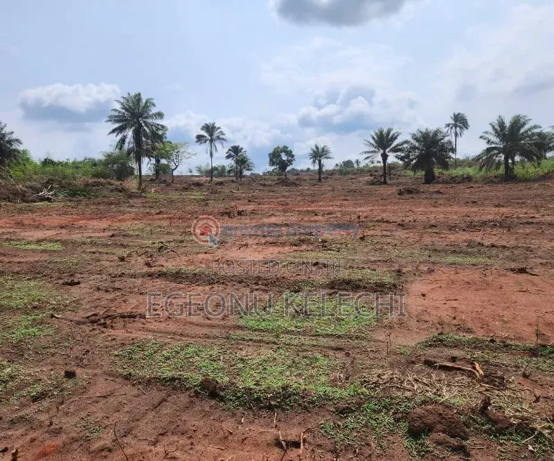Land for Sale in Aniocha North