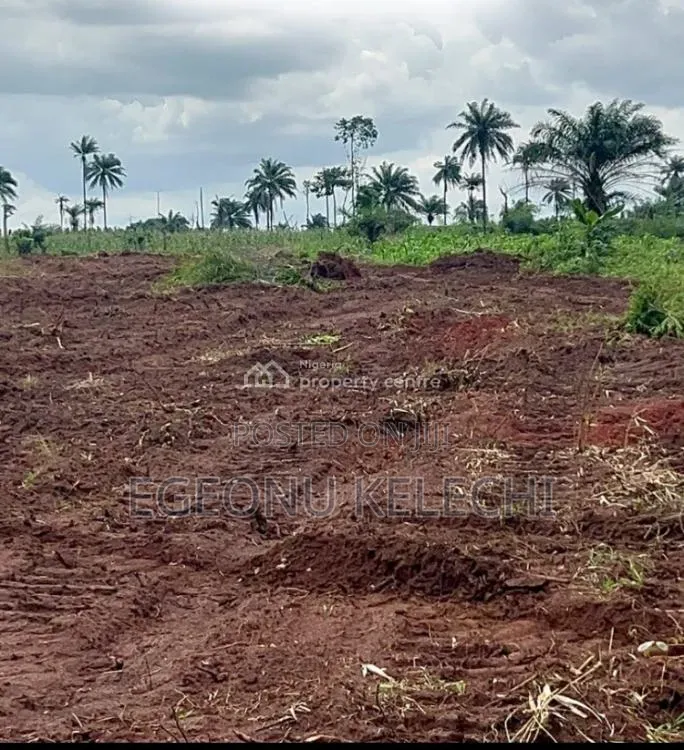 Land for Sale in Aniocha North