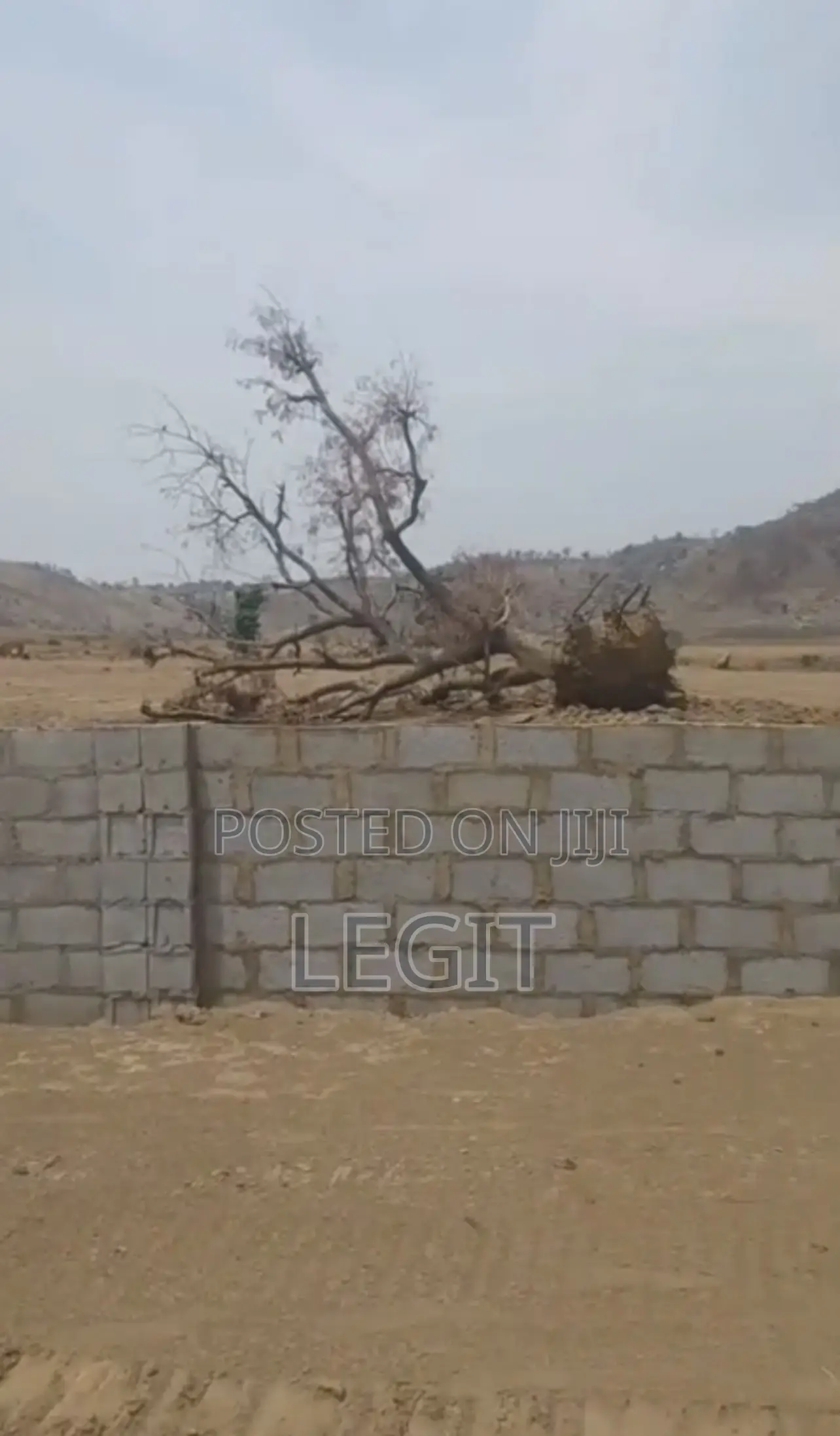 75 Hectares ( C of O) 270m Per Hectare in Maitama
