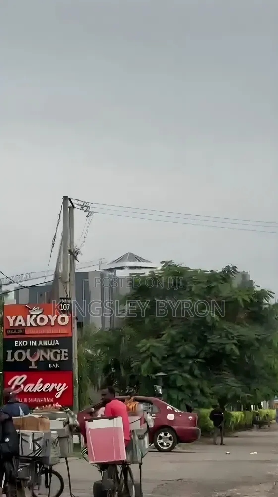Hot Central Area 2 Serial Plot 8,600sqm Each C of O in Central Business District