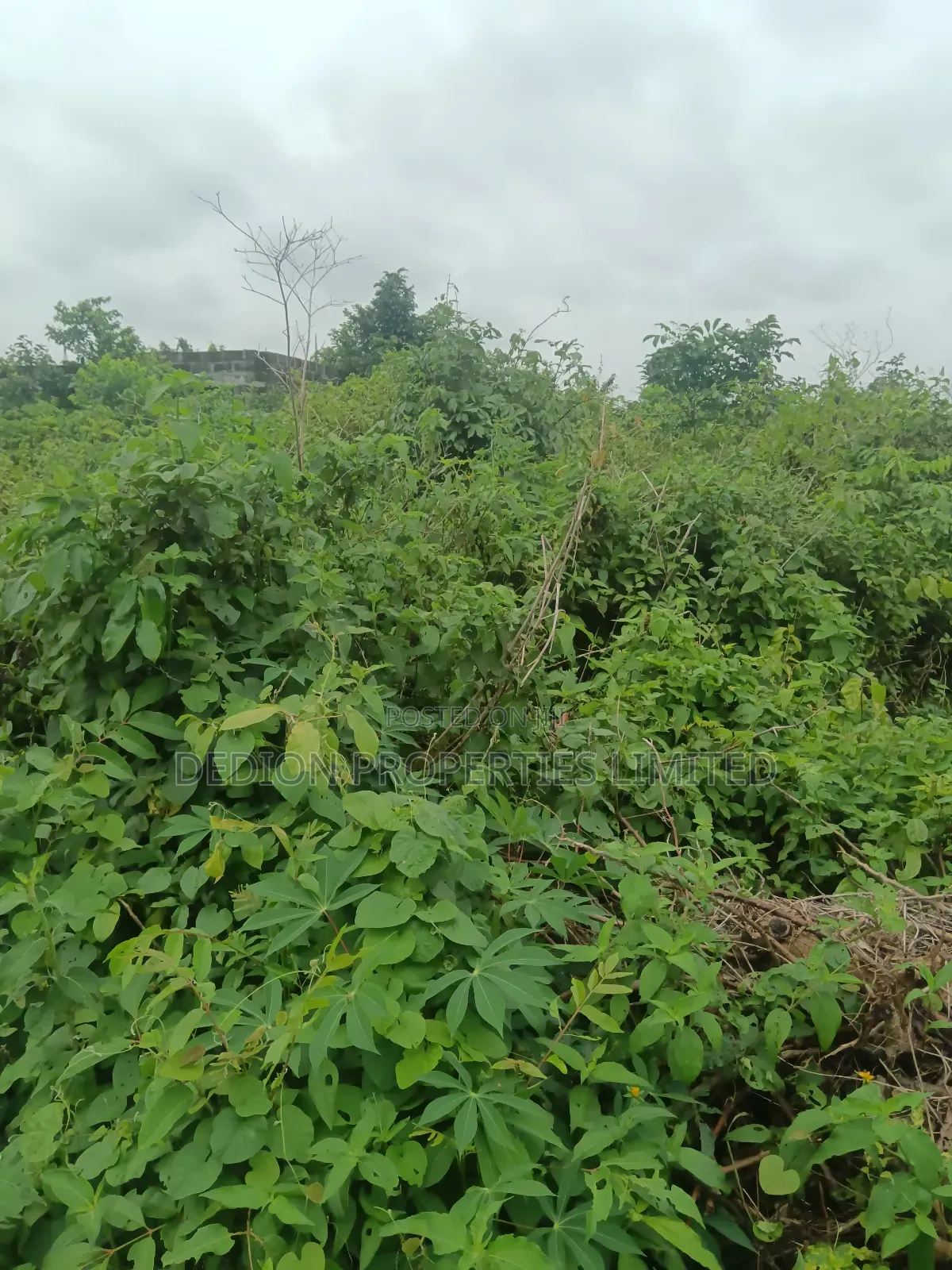 Odegiri Land With Deed of Assignment and Survey in Epe