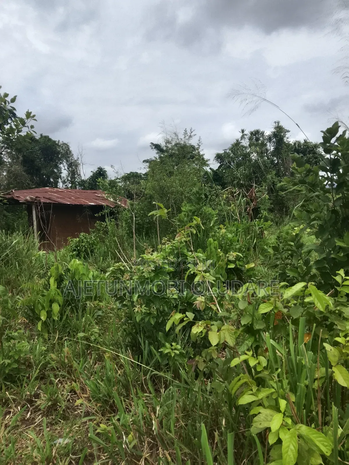 300 Plots/Farm Land/for Sale/Ikere Ekiti/Off Akure Road/Deed+Receipt. in Ado Ekiti