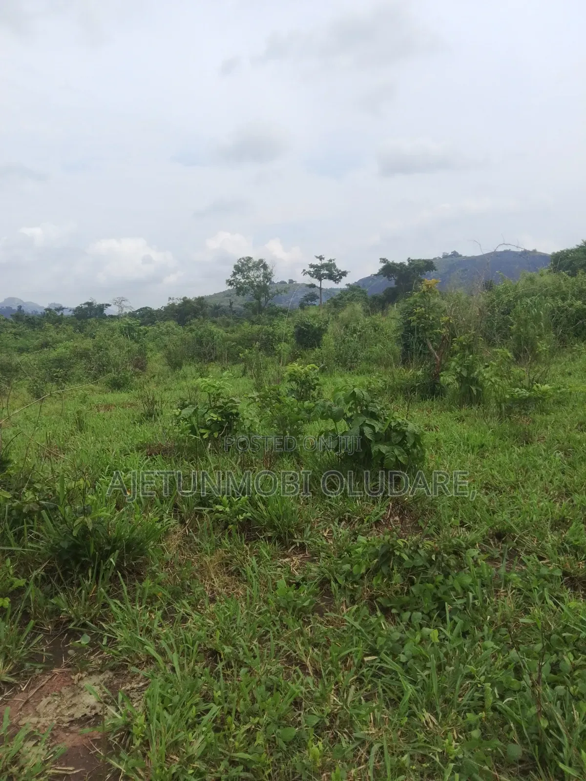 300 Plots/Farm Land/for Sale/Ikere Ekiti/Off Akure Road/Deed+Receipt. in Ado Ekiti