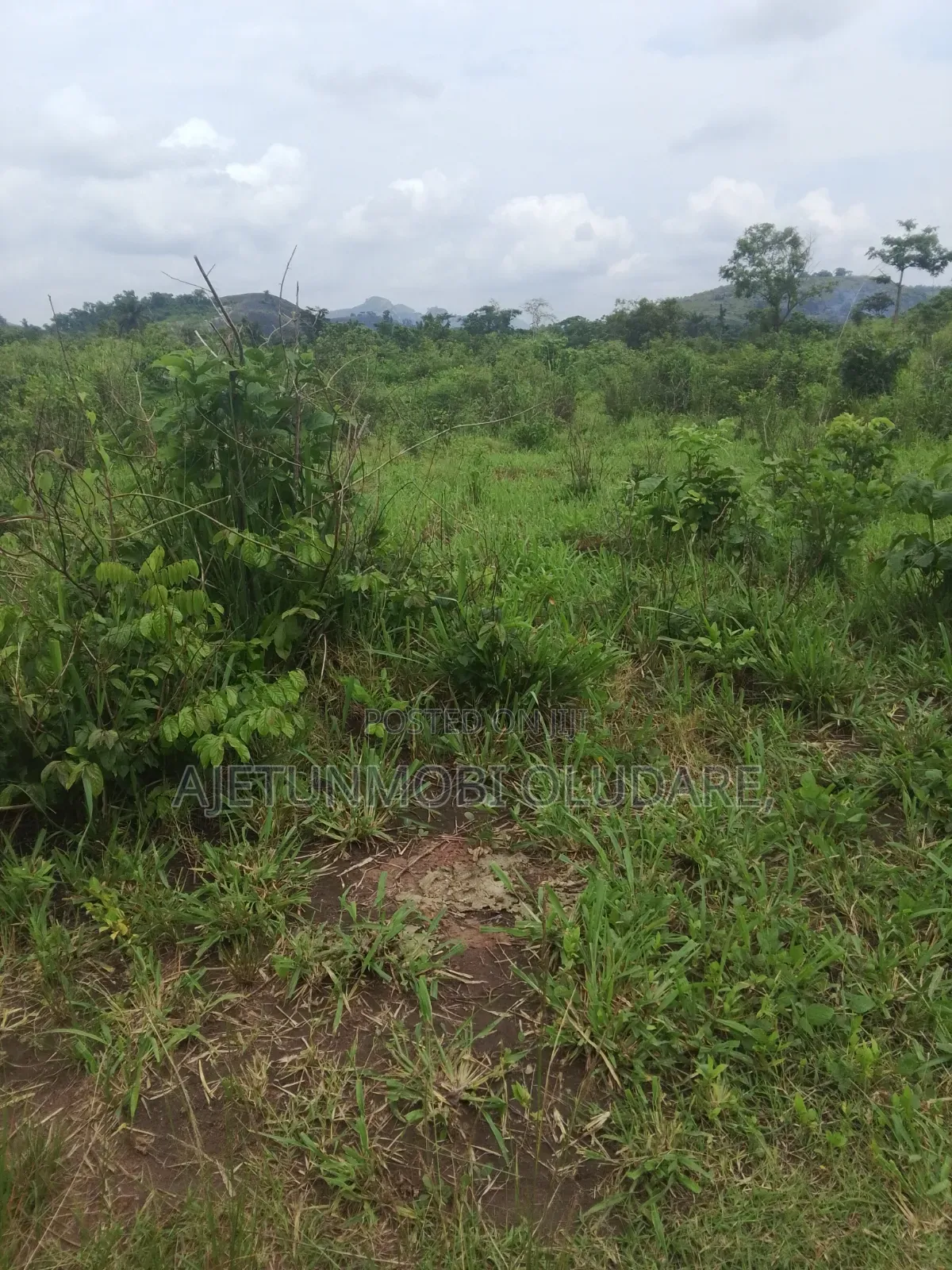 300 Plots/Farm Land/for Sale/Ikere Ekiti/Off Akure Road/Deed+Receipt. in Ado Ekiti
