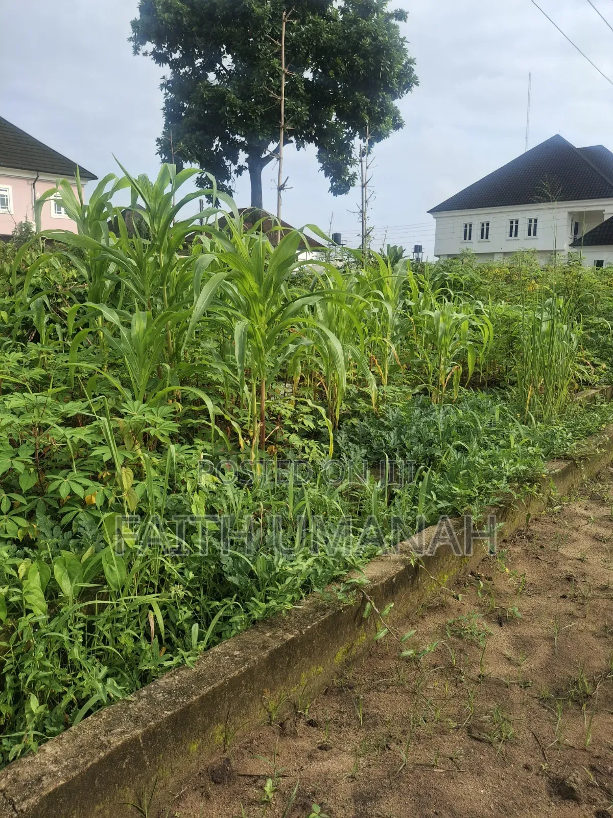 Residential Land in Uyo