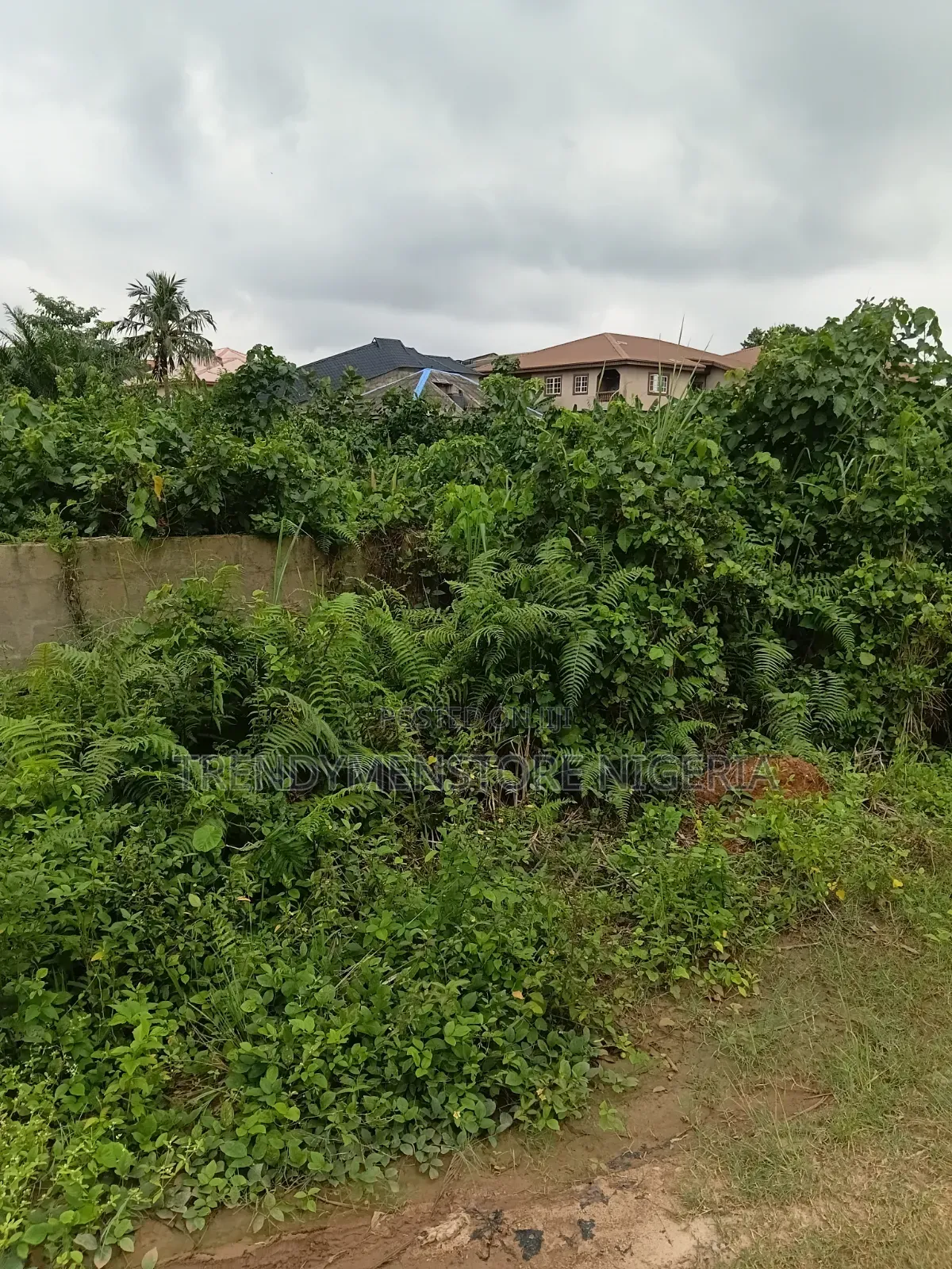 Distress Sale: 6 Plots at Igbogbo, Ikorodu. in Igbogbo