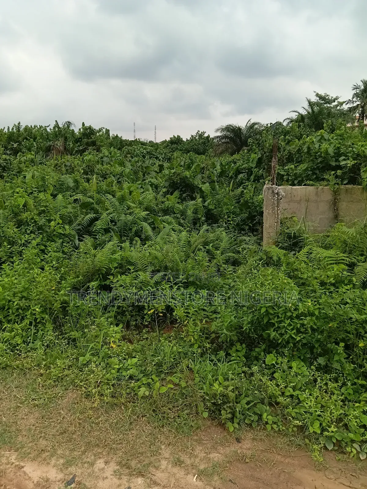 Urgent Sale: Half Plot at Igbogbo Ikorodu in Igbogbo