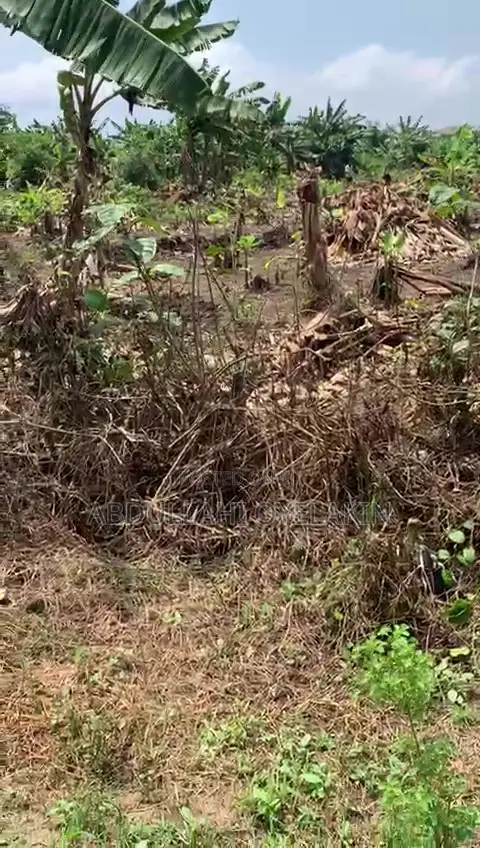 Land for Sales in Ijede / Ikorodu