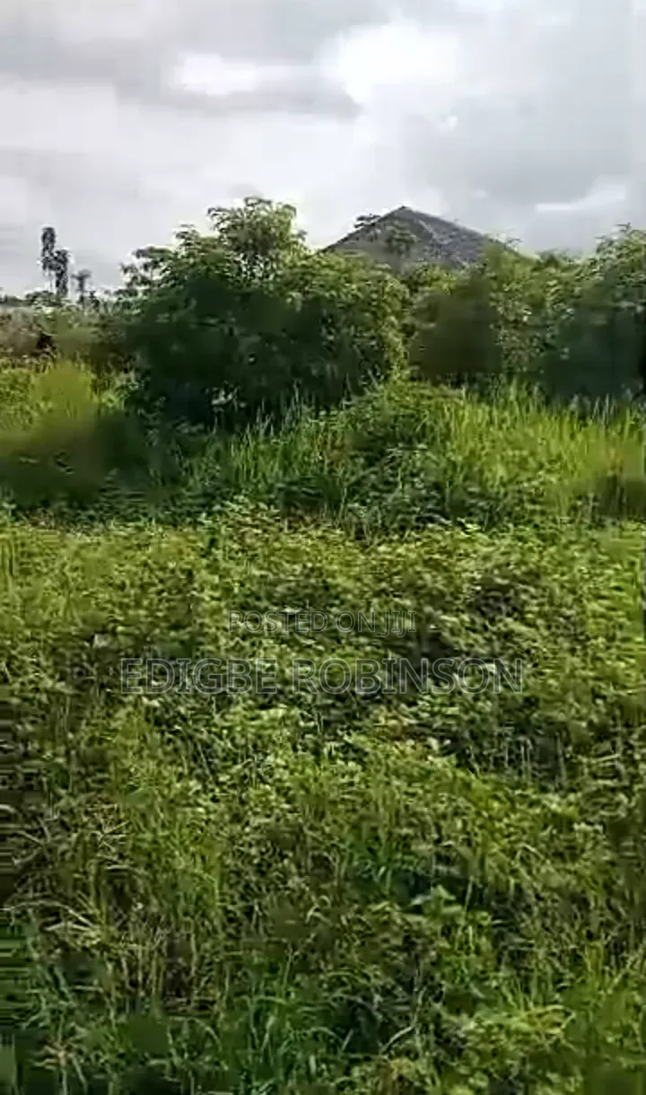 Dry Land for Sale in Ughotor in Okpe