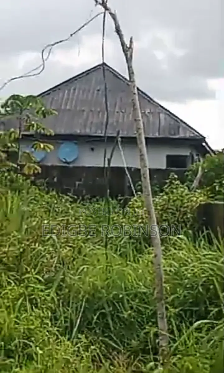 Dry Land for Sale in Ughotor in Okpe
