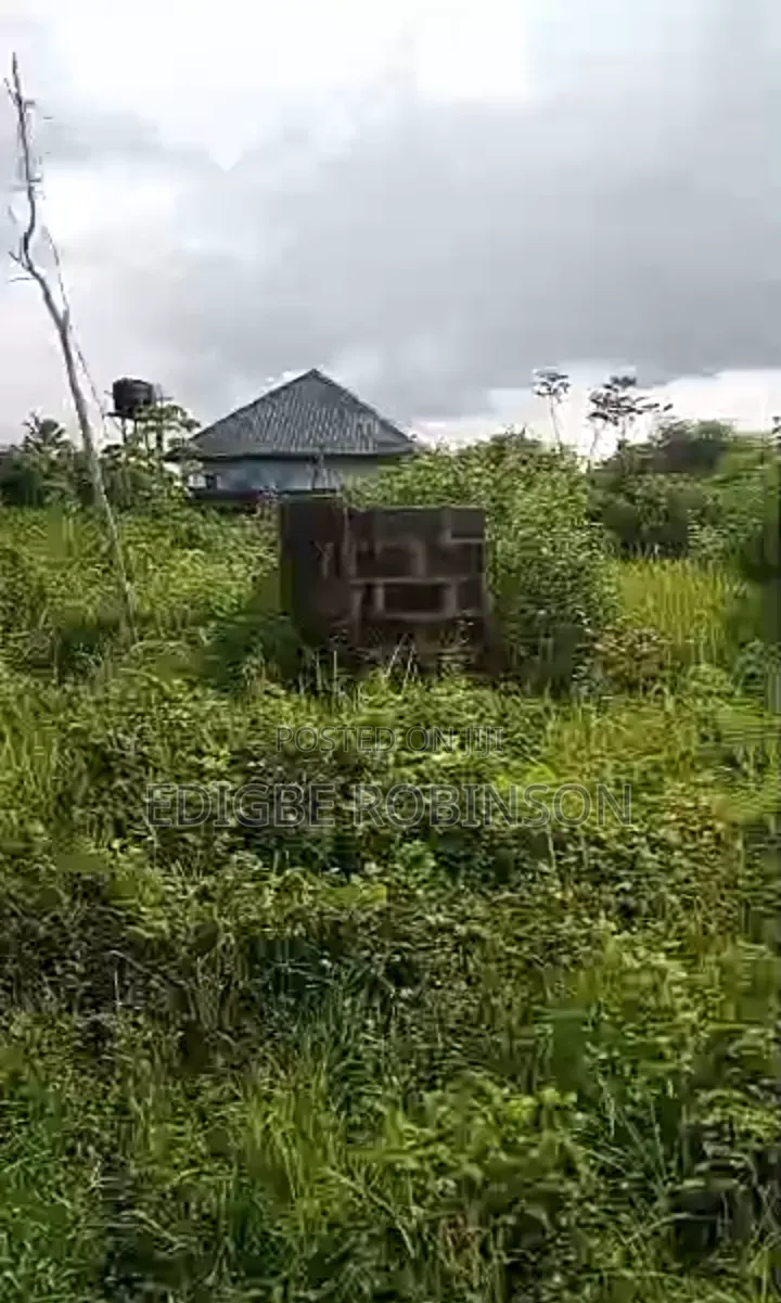 Dry Land for Sale in Ughotor in Okpe
