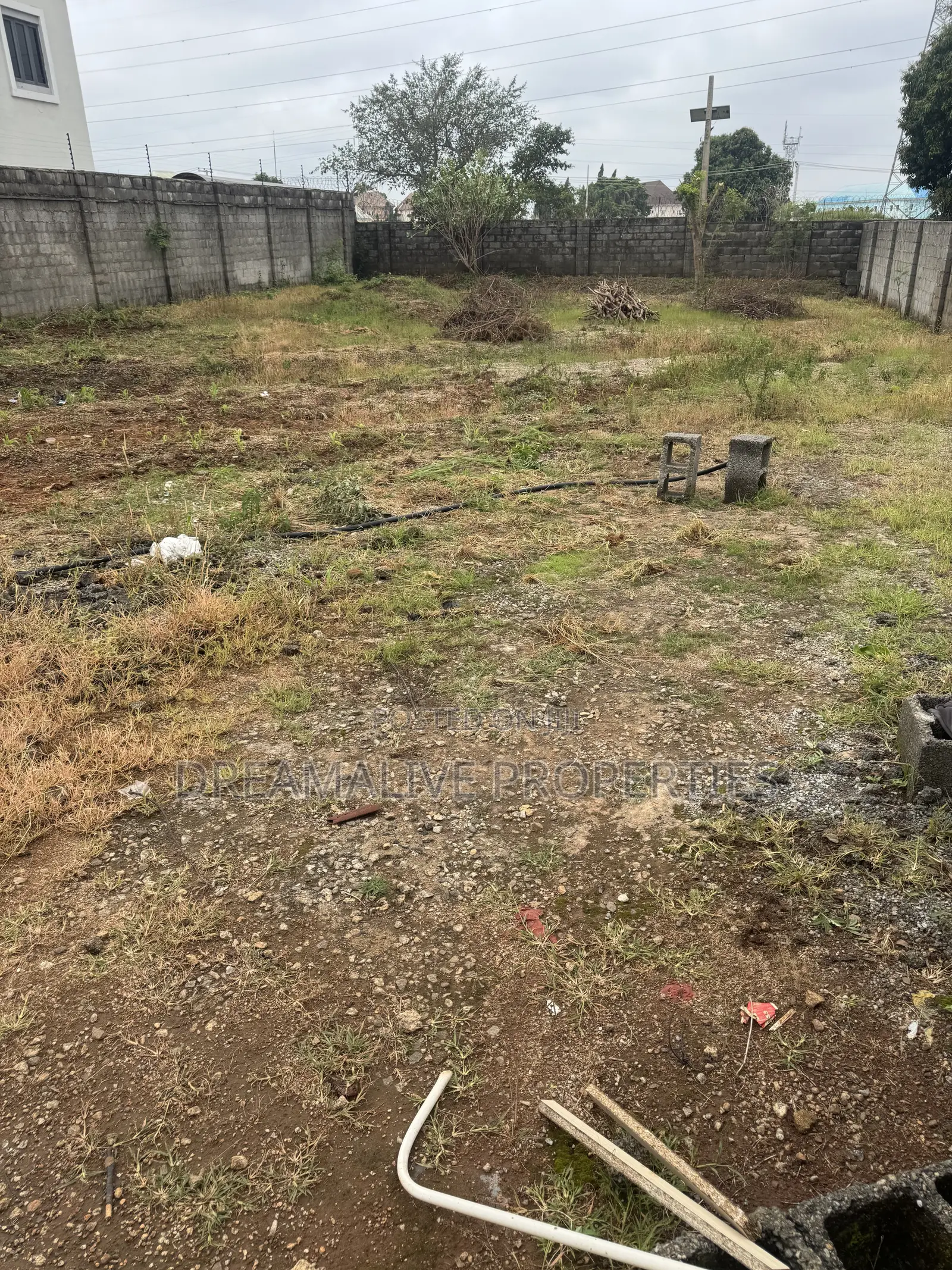 Right of Occupancy in Dawaki