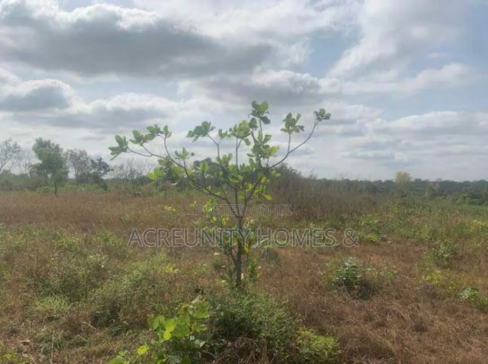 28 Acres of Land at Saki-Ogbooro Express Way, Saki East Lg, Oyo State in Saki East