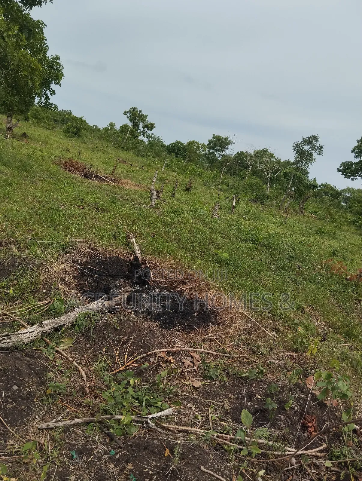 28 Acres of Land at Saki-Ogbooro Express Way, Saki East Lg, Oyo State in Saki East