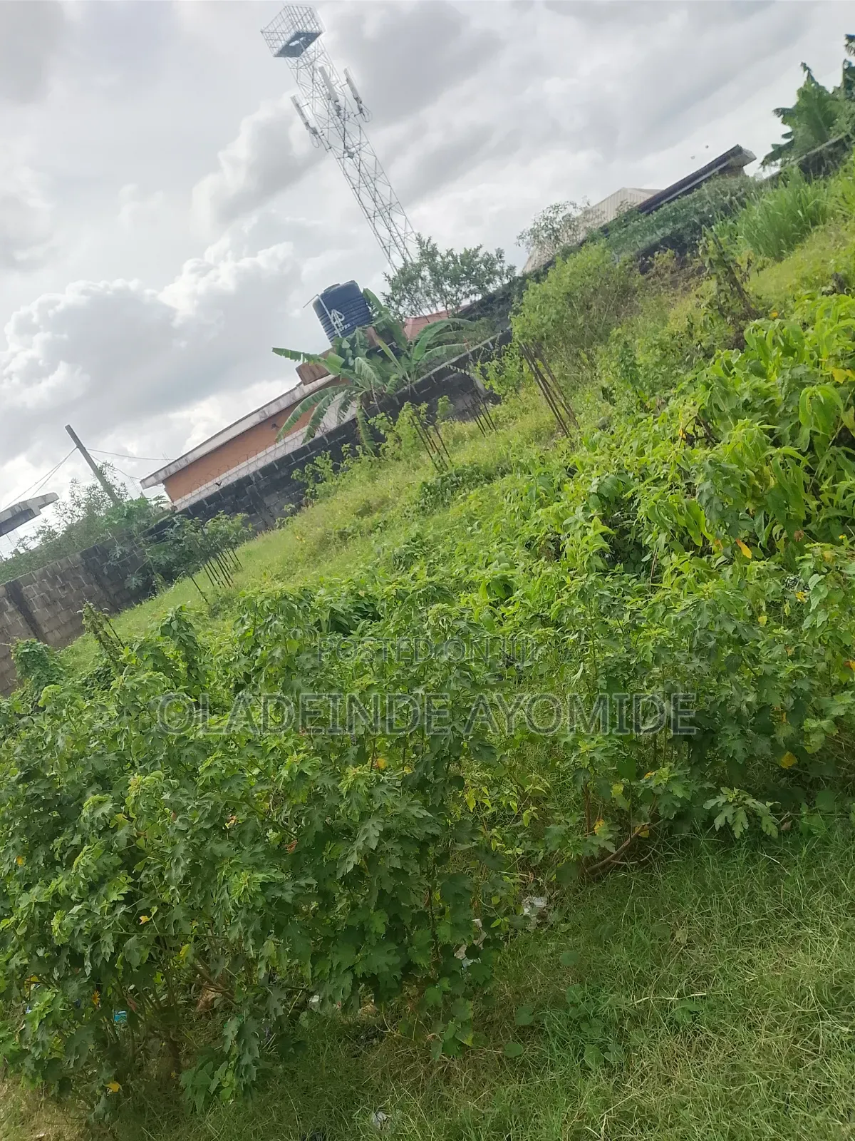 A Plot (650sqm) of Dryland at Abijo in Abijo