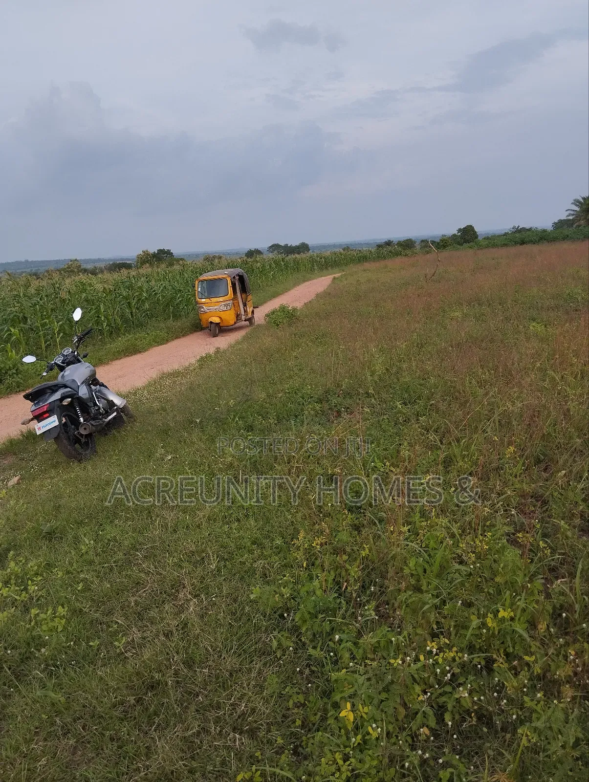 10 Acres of Land for Sale – Km 9, Iseyin–Ogbomoso Road in Iseyin