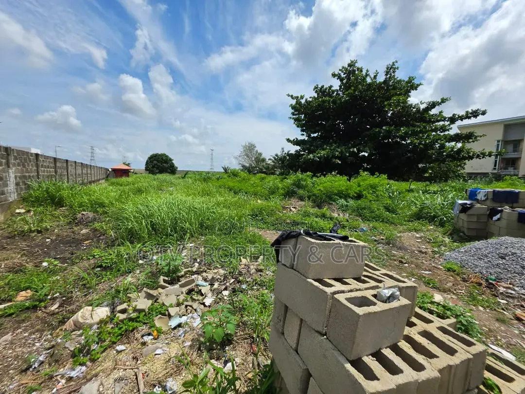 1,000sqm Land Location: Residential Zone, Banana Island Estate, Ikoy in Banana Island