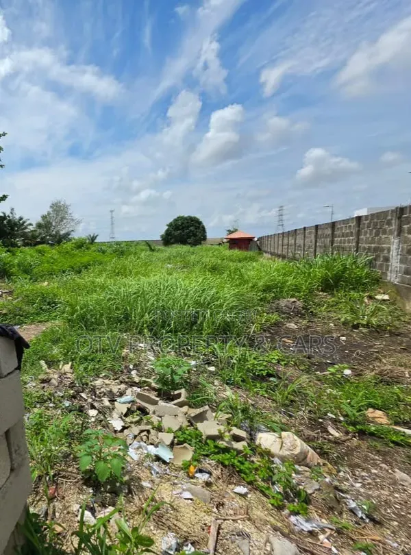 1,000sqm Land Location: Residential Zone, Banana Island Estate, Ikoy in Banana Island