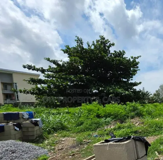 1,000sqm Land Location: Residential Zone, Banana Island Estate, Ikoy in Banana Island