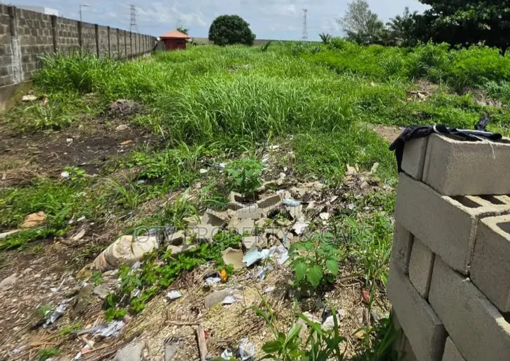1,000sqm Land Location: Residential Zone, Banana Island Estate, Ikoy in Banana Island