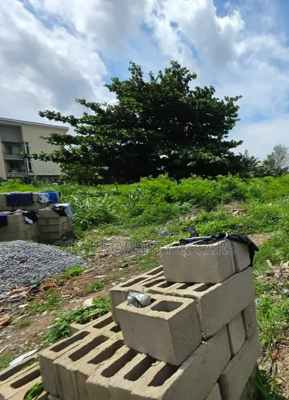 1,000sqm Land Location: Residential Zone, Banana Island Estate, Ikoy in Banana Island