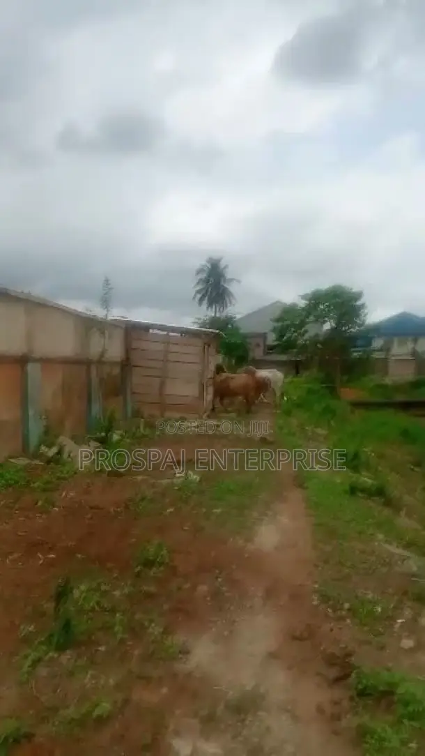 Industrial Land Opportunity in Oba Akran