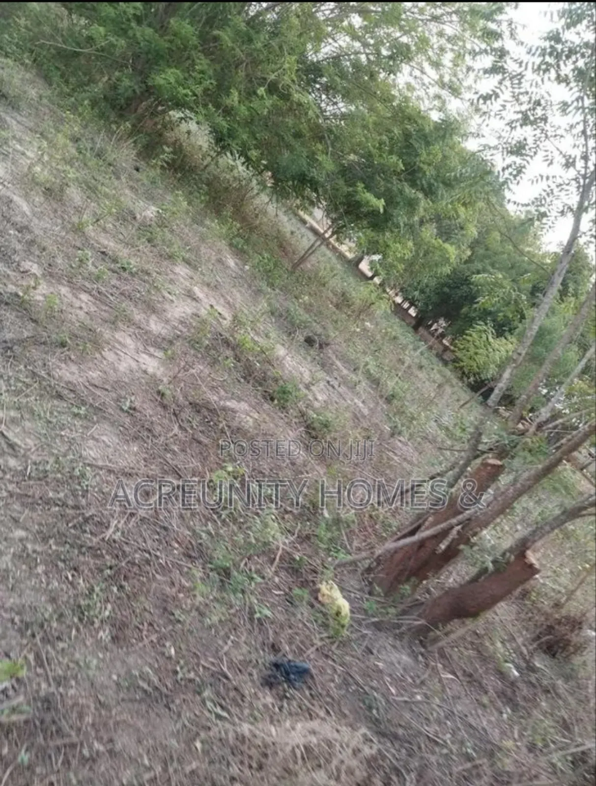 6 Plots of Land at Lautech, Iseyin Campus for Sale. Iseyin, Oyo State in Iseyin