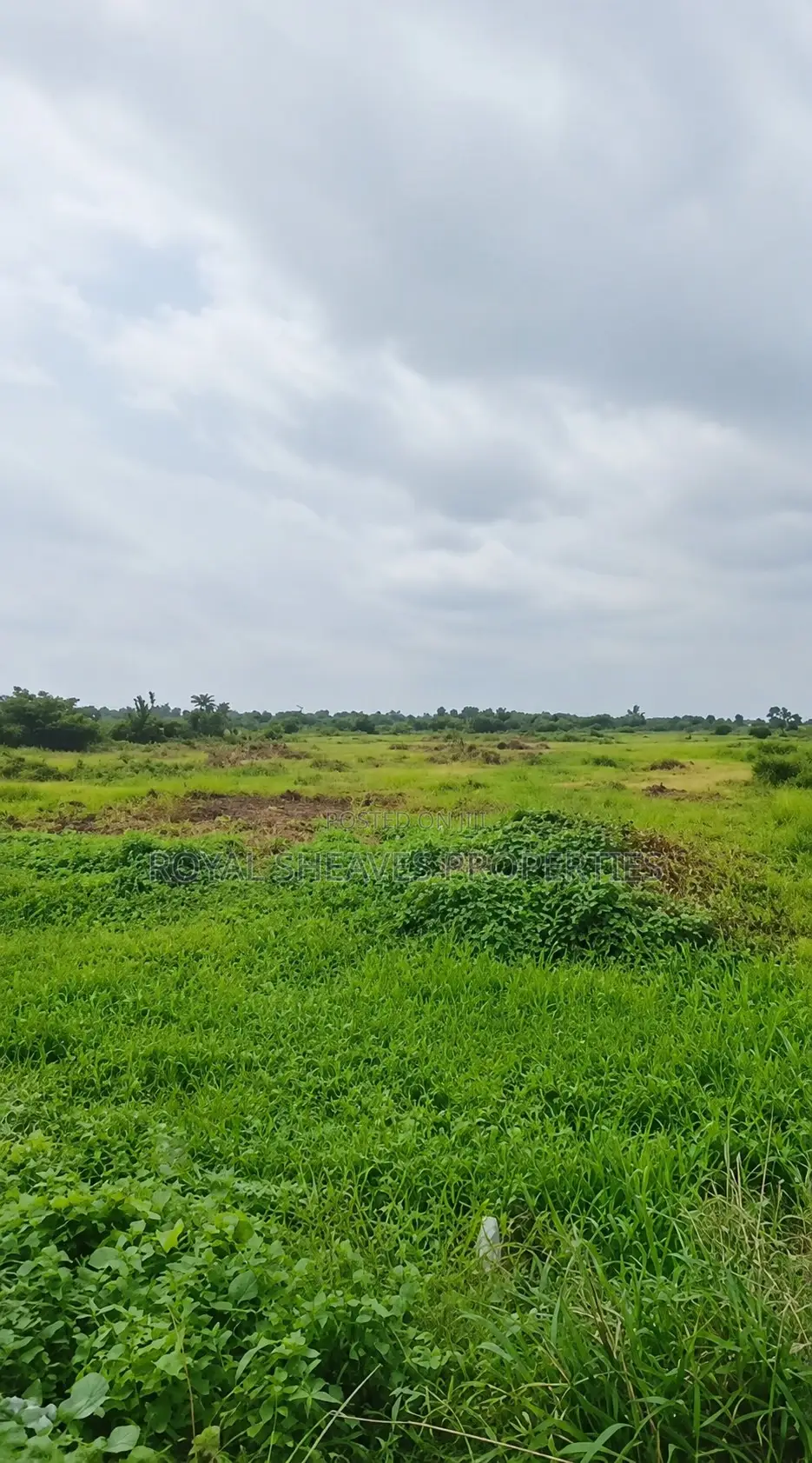 34 Plots of Land at Jesuit for Sale in Rukpokwu