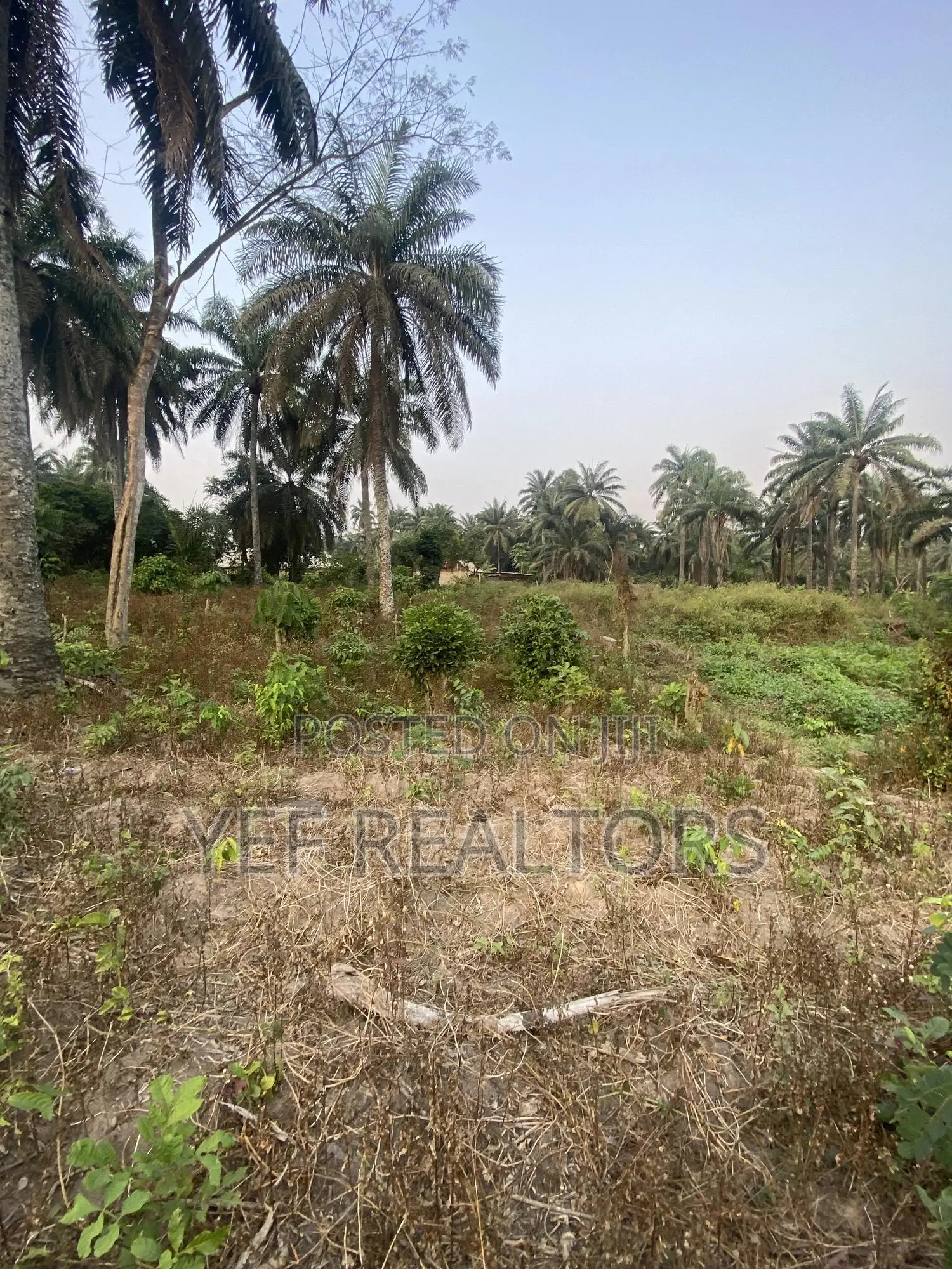 Two Plot of Land for Sale at Owode Ede in Ede