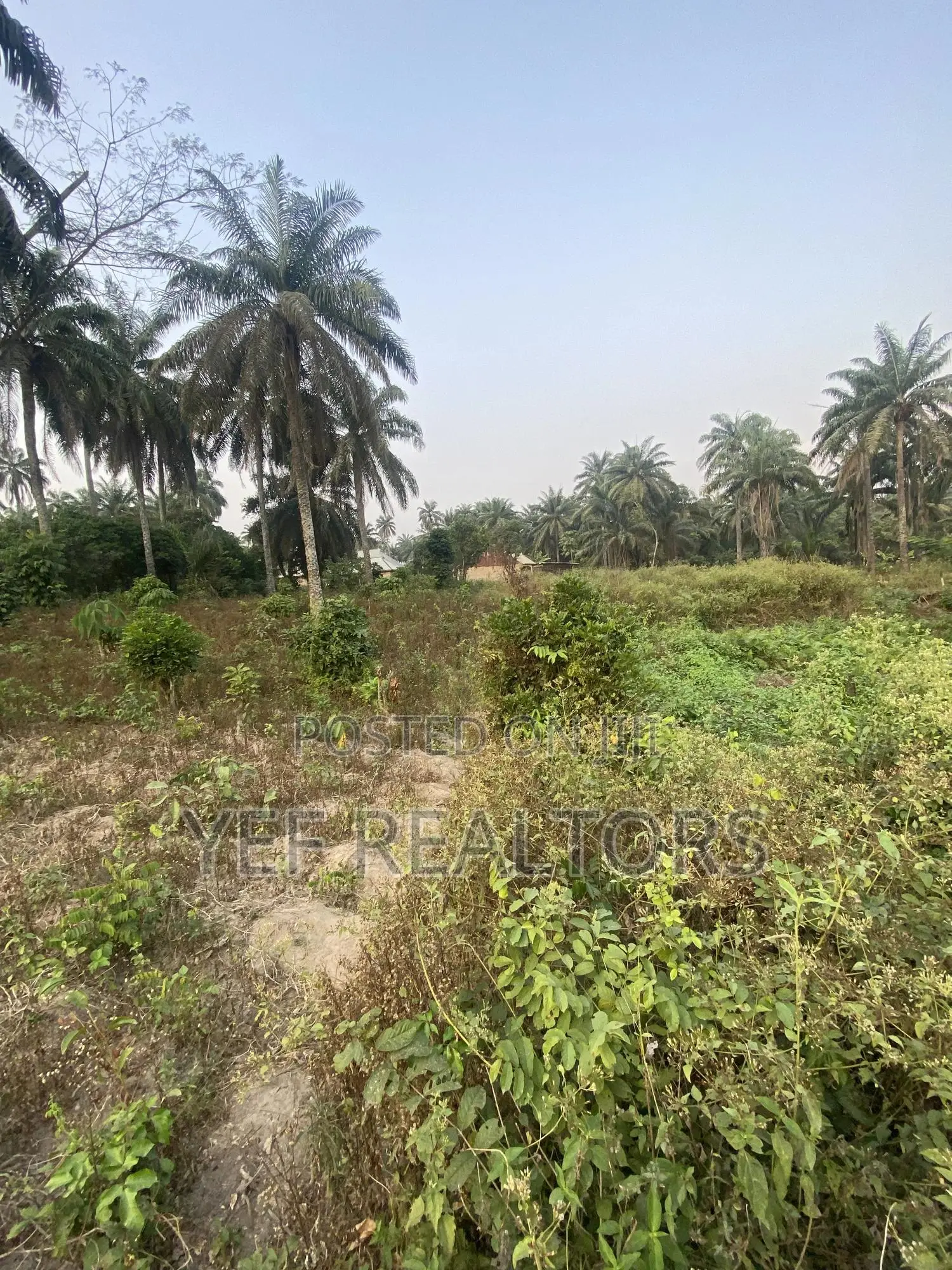 Two Plot of Land for Sale at Owode Ede in Ede