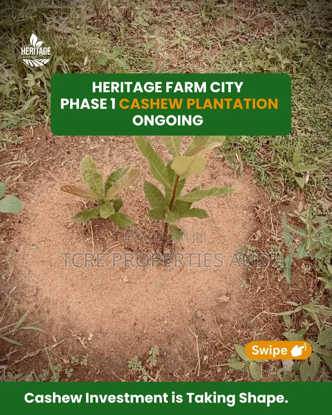 Farmland Of The Day in Abeokuta South