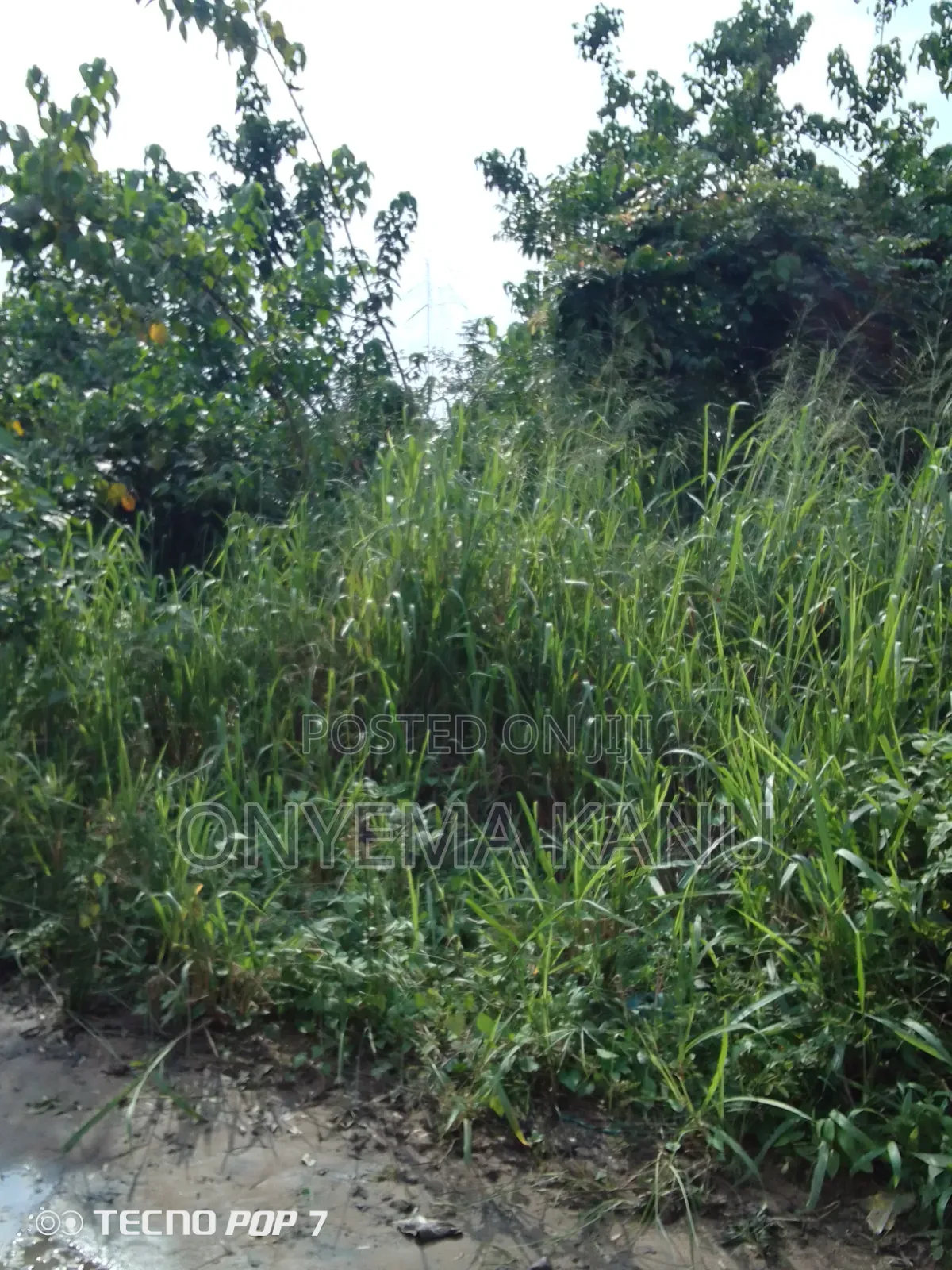 100 Plots at Chinese Coy Neighbourhood in Ukwa