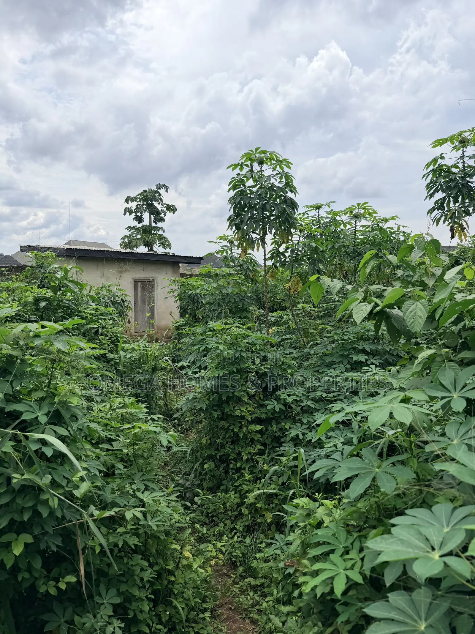 2 Plots of Land at Ibb Phase 2 Umuahia in Umuahia