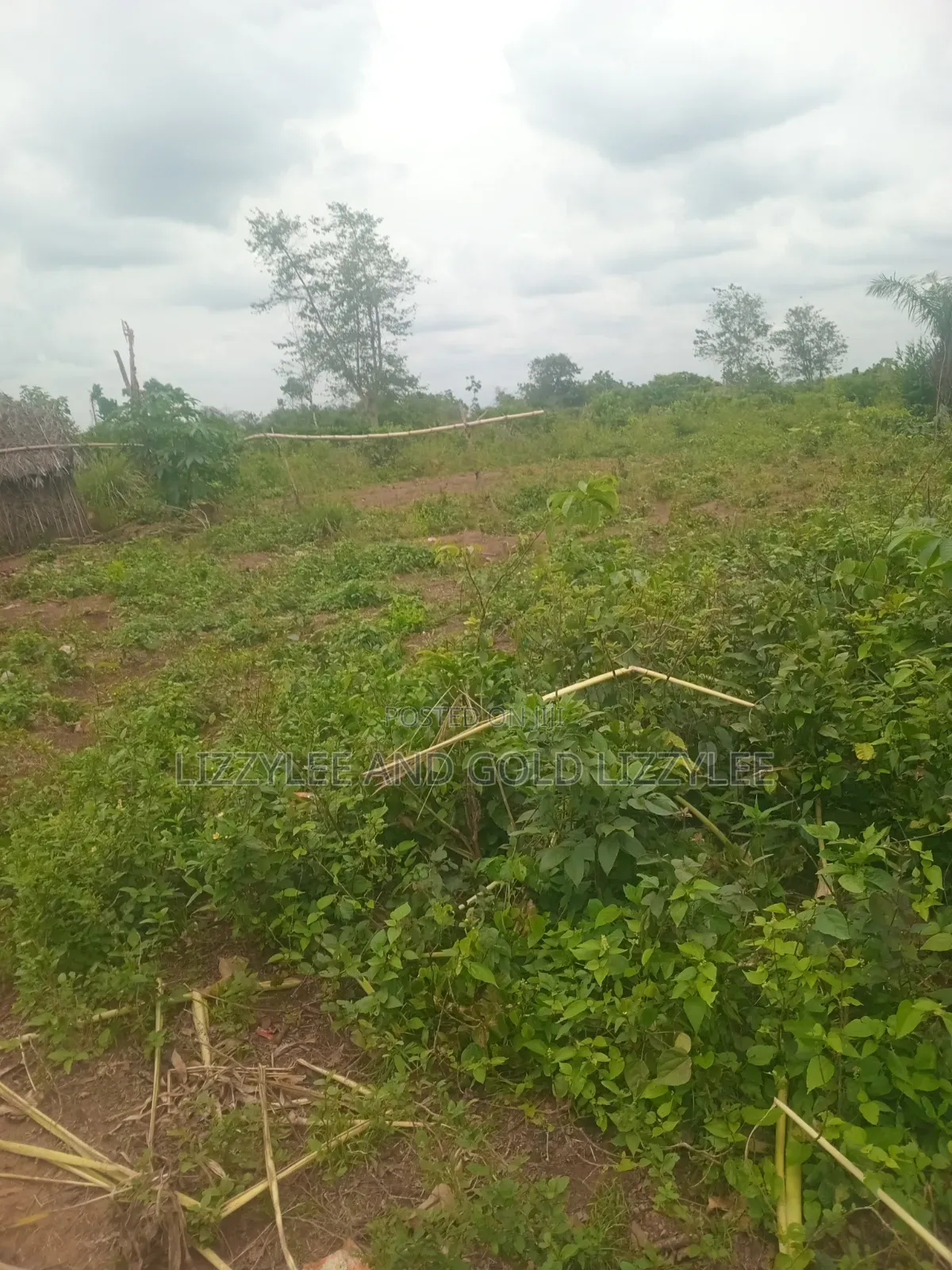 1.443 Acres of Land for Sale, at Per Plot, at Ijako, Ado- Odo Ota in Ado-Odo/Ota