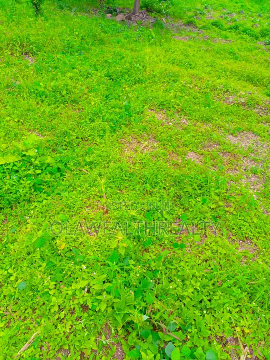 3,460sqm Commercial Land at Gudu District in Gudu