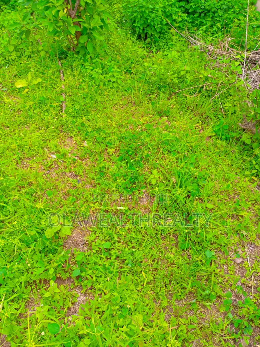 3,460sqm Commercial Land at Gudu District in Gudu