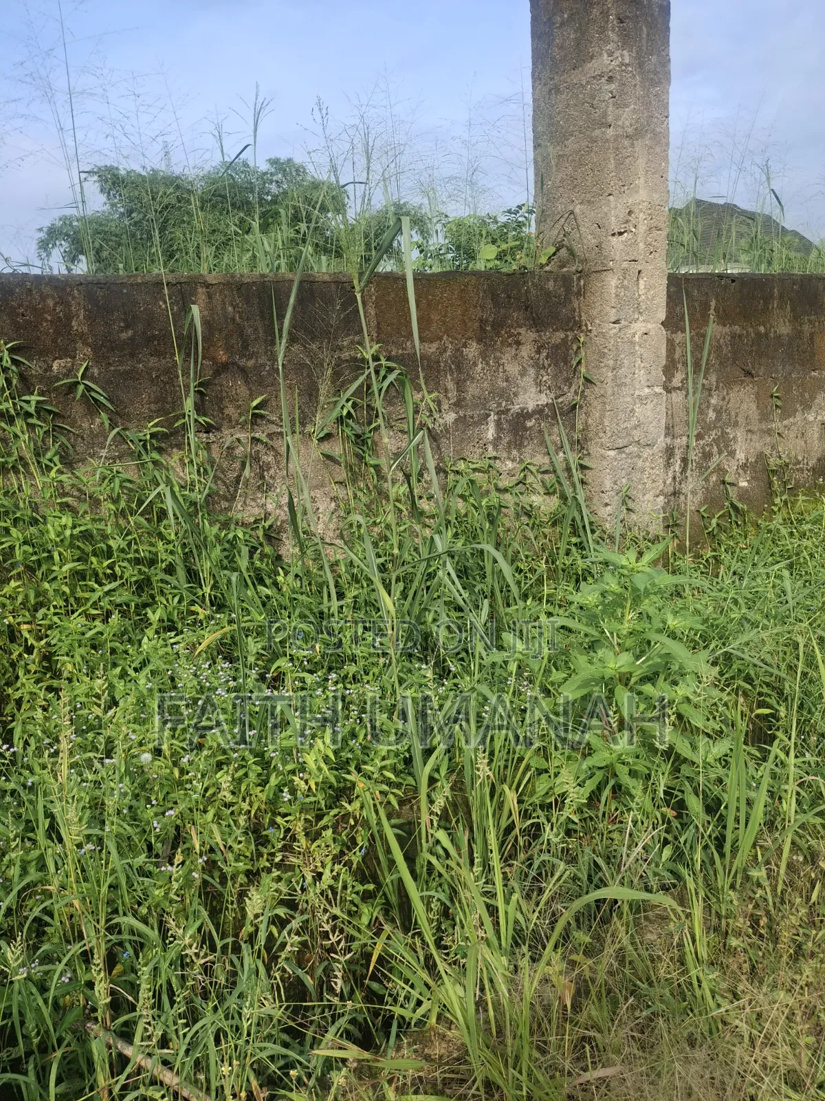 Bare Land in Uyo in Uyo