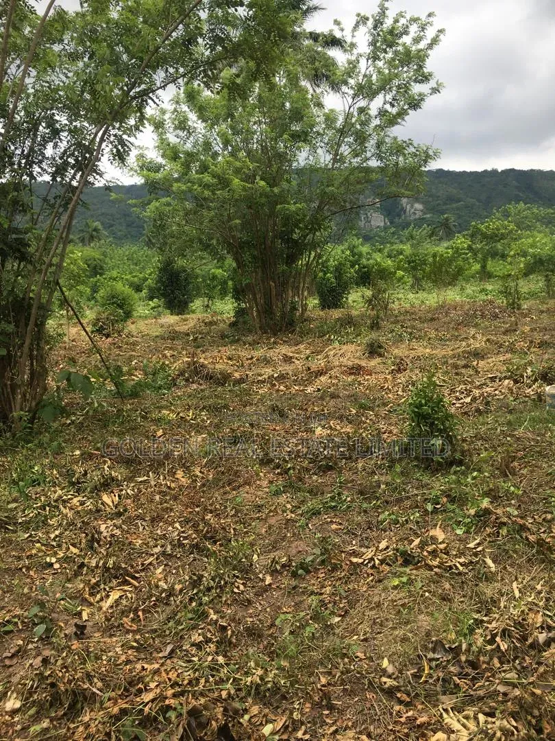 2 Plots of Land Available at Igbo Ero in Oye Local Government in Oye