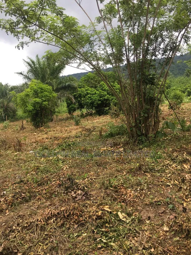 2 Plots of Land Available at Igbo Ero in Oye Local Government in Oye
