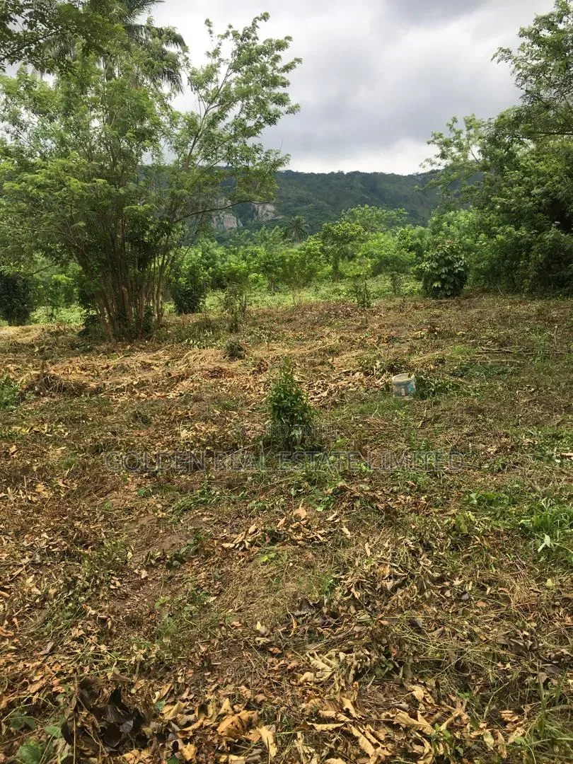 2 Plots of Land Available at Igbo Ero in Oye Local Government in Oye
