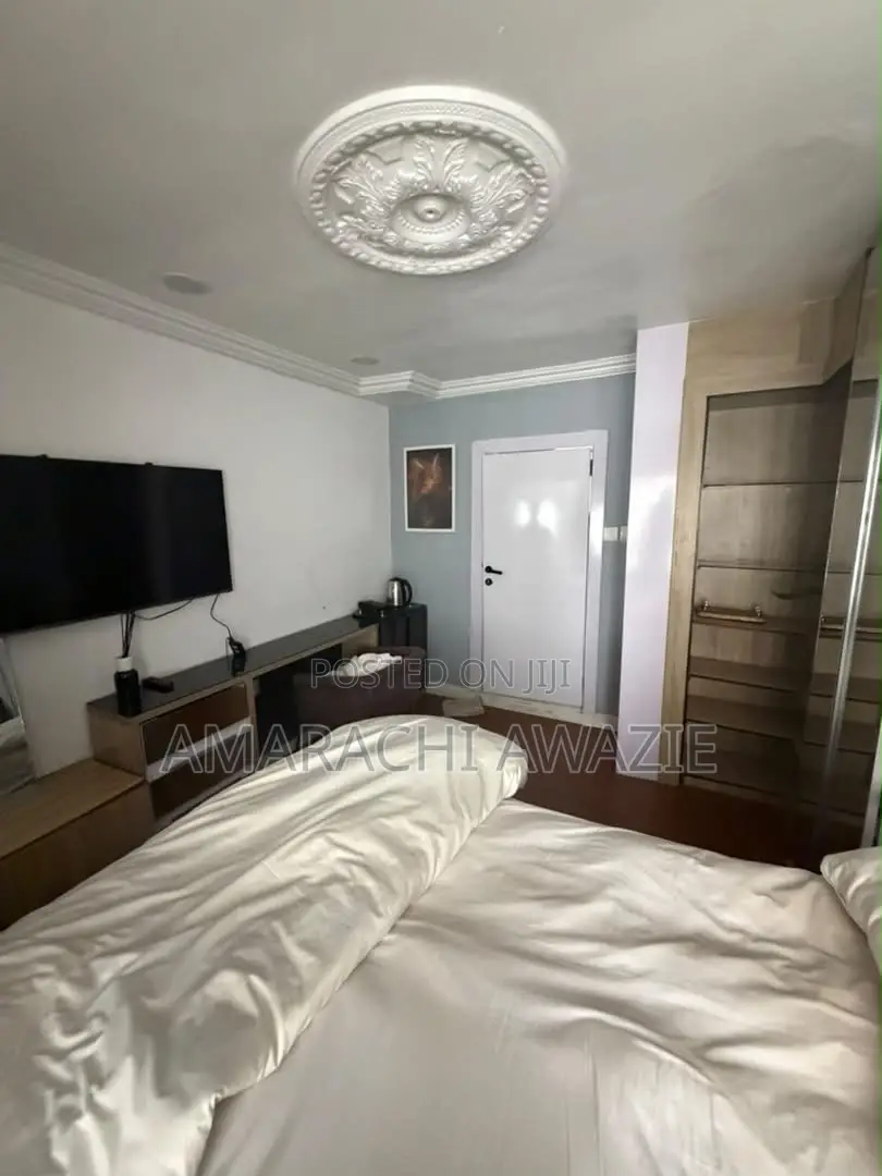 Furnished 1bdrm Apartment in Maitama for rent in Maitama