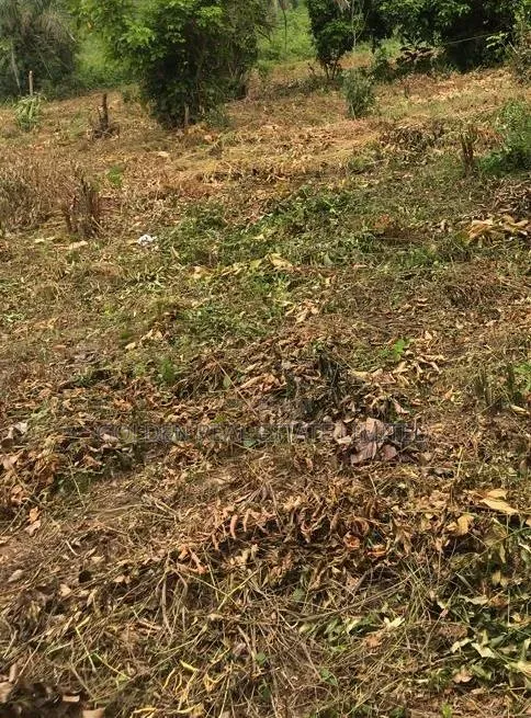 To Let A Plot Of Land At Falaegan Ilawe Road,Ado Ekiti. in Ado Ekiti