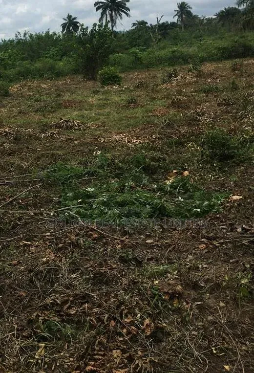 To Let A Plot Of Land At Falaegan Ilawe Road,Ado Ekiti. in Ado Ekiti