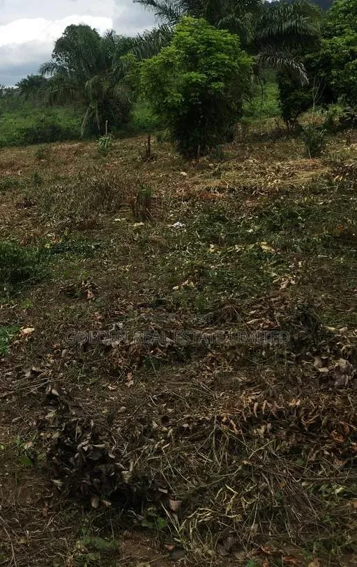 To Let A Plot Of Land At Falaegan Ilawe Road,Ado Ekiti. in Ado Ekiti