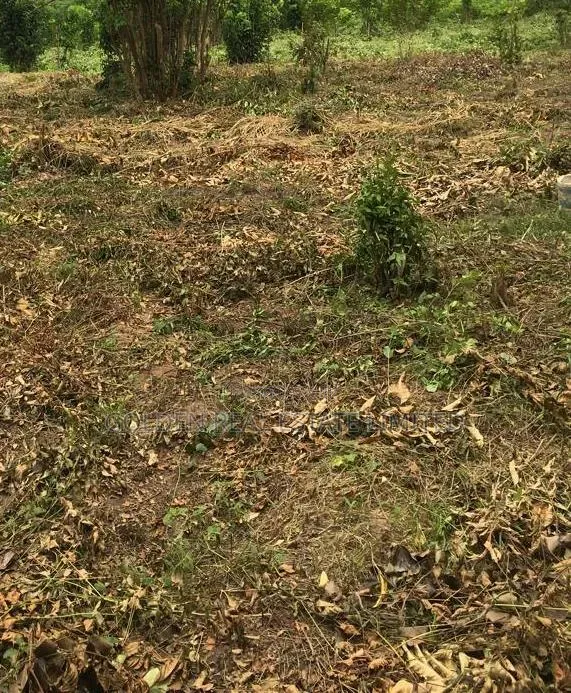 To Let A Plot Of Land At Falaegan Ilawe Road,Ado Ekiti. in Ado Ekiti