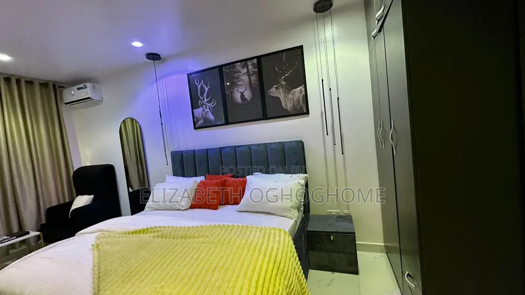 Furnished 2bdrm Apartment in Lekki Phase 1 for rent in Lekki Phase 1