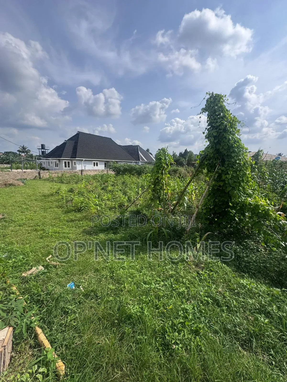 Fenced 1036 SQM Land Is Available in Akure