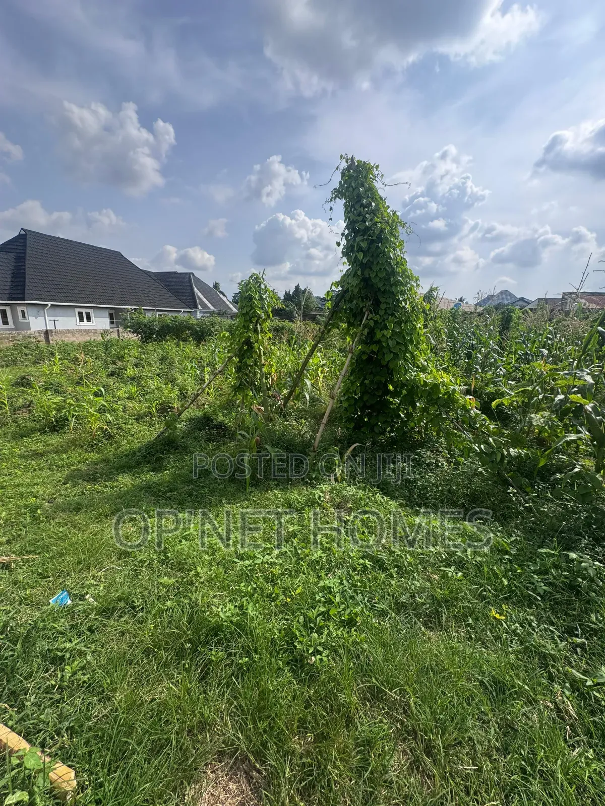 Fenced 1036 SQM Land Is Available in Akure