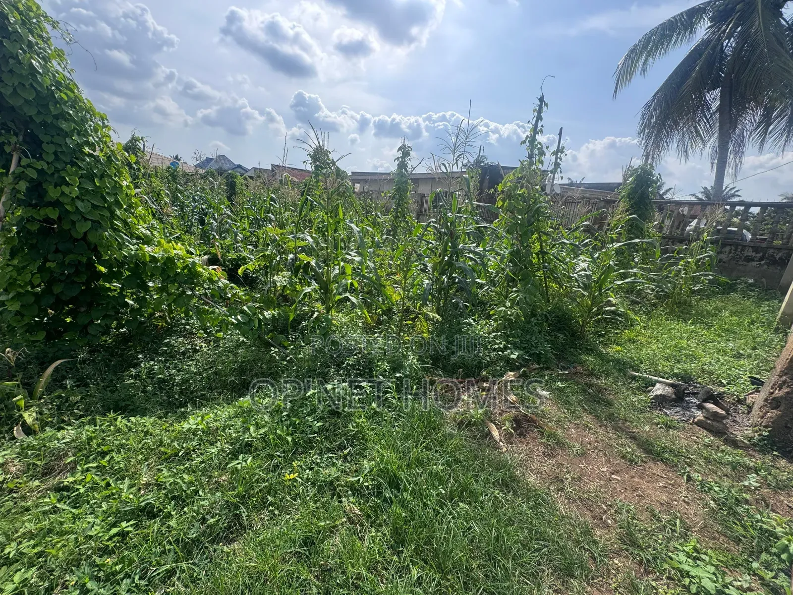 Fenced 1036 SQM Land Is Available in Akure