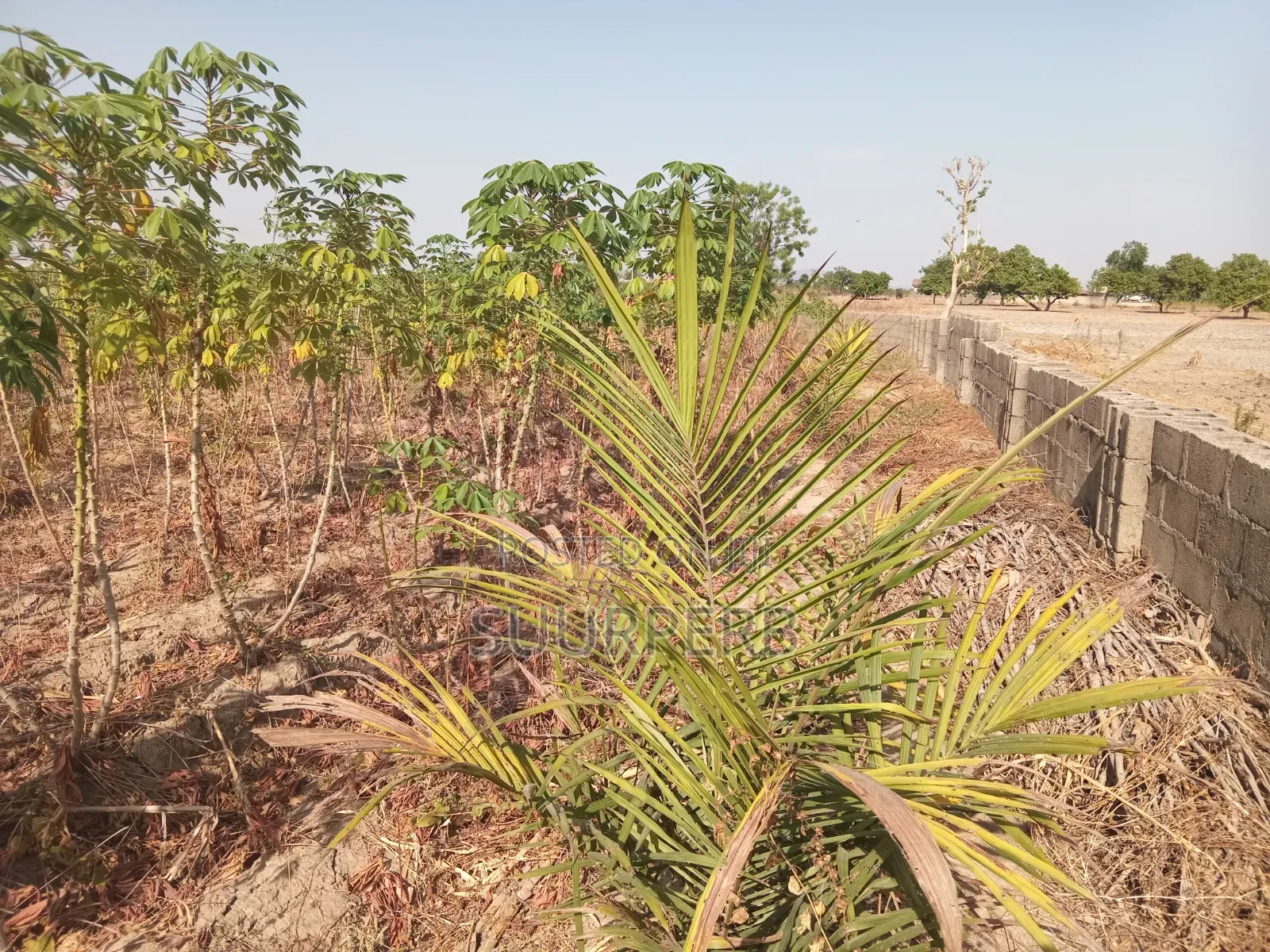 Land For Sale in Kutunku